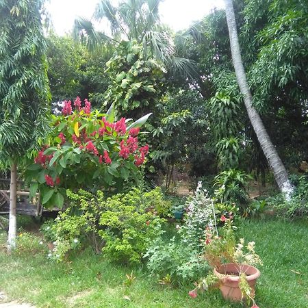 Hostal Casa Vieja Chiquimula Eksteriør billede
