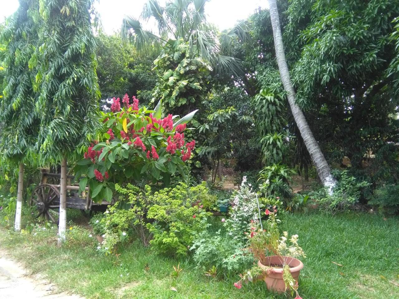 Hostal Casa Vieja Chiquimula Eksteriør billede
